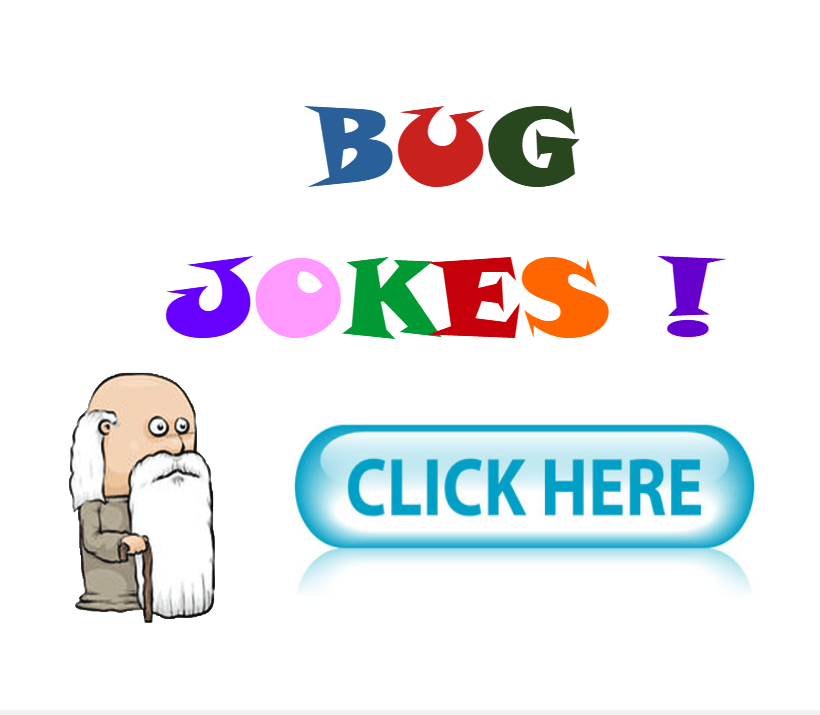 bug jokes